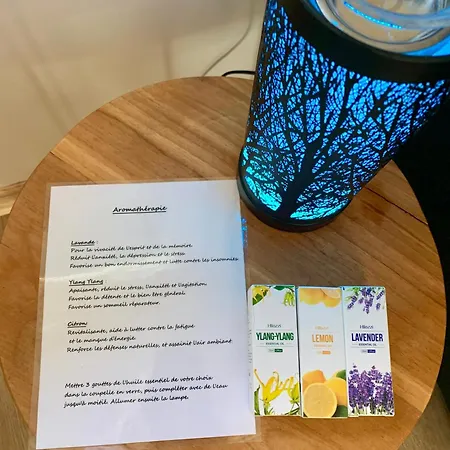 Gite La Maison Bleue Grosmagny Buitenkant foto